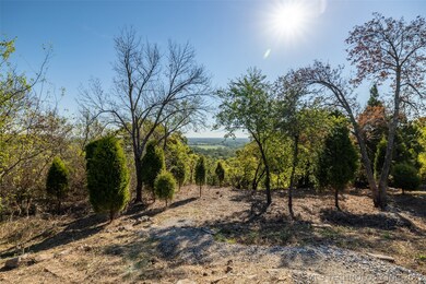 View from Back of Yard