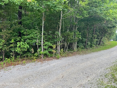 0 E Loomis Rd, Jamestown, TN 38556 - photo 2