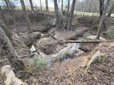 312 Timms Mill Rd, Williamston, SC 29697 - photo 4