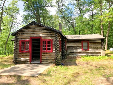 232 W Lincoln St, Brohman, MI 49312 - photo 3