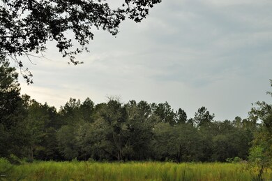 DSC_0208 (2)