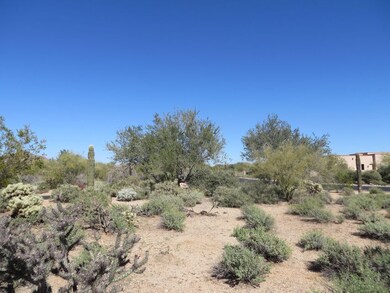 IMG_0054