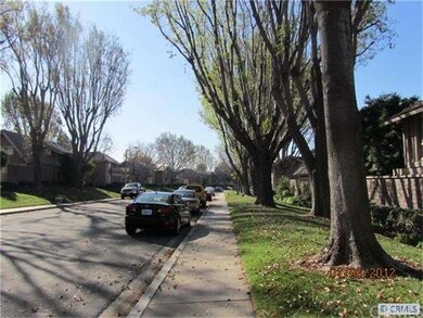Tree lined street
