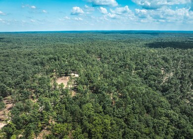 0 Highway B unit 11555621, Ellington, MO 63638 - photo 4