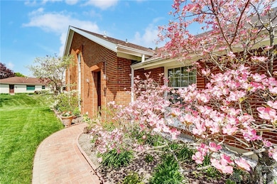 Beautiful dogwood tree