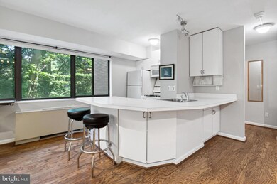 Wilshire Park Condominium unit 206, Washington, DC 20008 - photo 5