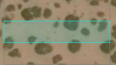 5 Belsaw St, Horizon City, TX 79928 - photo 5