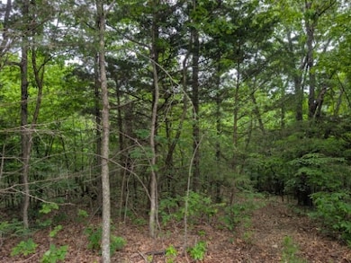 0 N Sutton, Harrison, AR 72601 - photo 2