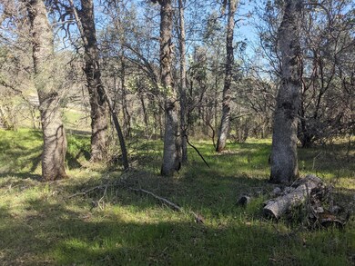 PXL_20210323_180542059