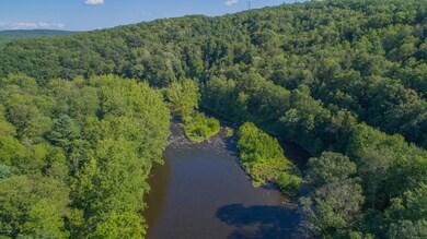 152 Markle Rd, Lackawaxen Township, PA 18428 - photo 6