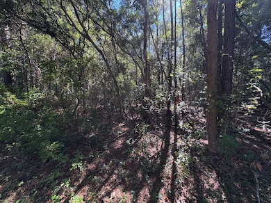 000 Half St, Summerville, SC 29483 - photo 5