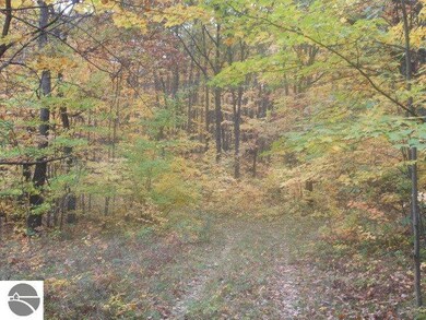 1733 Richard Dr, West Branch, MI 48661 - photo 3