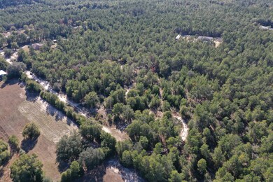 DJI_0368