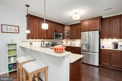 41900 Metamorphic Square unit 403, Aldie, VA 20105 - photo 5