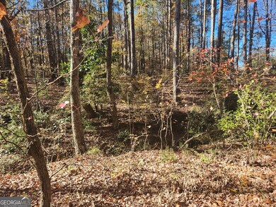 0 Woodland Creek Place unit 10421130, Hull, GA 30646 - photo 7