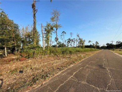 0 E Burton St unit SWL24002427, Sulphur, LA 70663 - photo 5