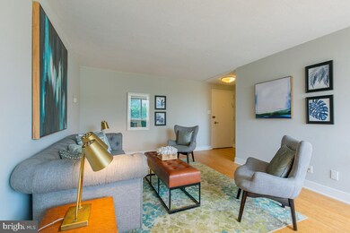 Mica Condominiums unit 407, Silver Spring, MD 20910 - photo 4