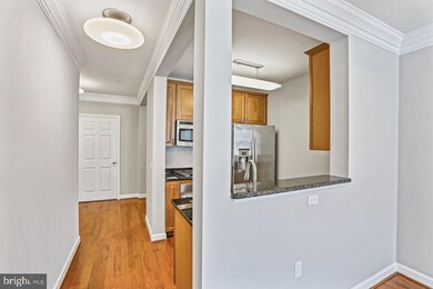 Dominion Heights unit 218, Arlington, VA 22207 - photo 2