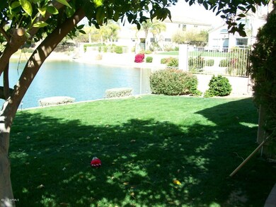 back yard