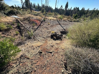 6232 Wesleyan Ct, Magalia, CA 95954 - photo 4