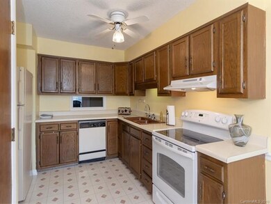 33 Hollybrook Dr unit 3, Asheville, NC 28803 - photo 6