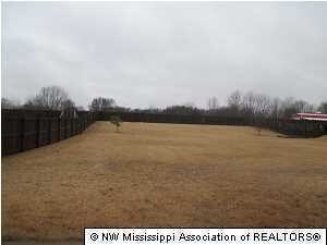 1427 Notting Hill Dr W, Hernando, MS 38632 - photo 3