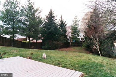 4113 Casey Ct, Alexandria, VA 22306 - photo 6