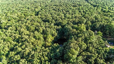 0 SE Rd unit 10123332, Bradford, AR 72020 - photo 2