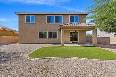 3 Backyard-5