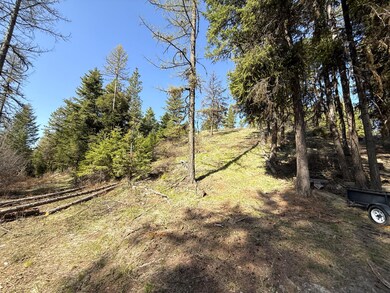 TBD Giveout Creek Rd, Wauconda, WA 98859 - photo 4