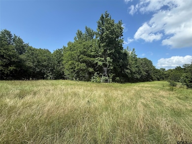 11591-2 Farm Road 269 S, Pickton, TX 75471 - photo 3