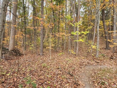 12522 Turkey Farm Rd, Huntingdon, PA 16652 - photo 7