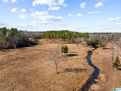 Stunning 31 acre property ready for your dream hom
