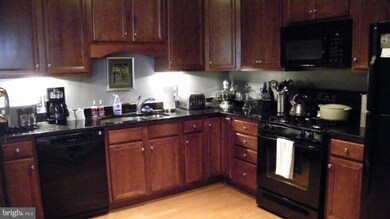 24675 Buttonbush Terrace unit 35, Stone Ridge, VA 20105 - photo 7