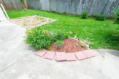 Backyard with little salsa garden