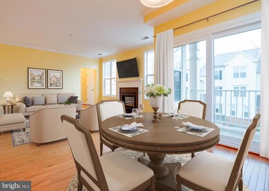 4667 Longstreet Ln unit 206, Alexandria, VA 22311 - photo 6