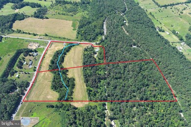 0 40 955 Ac Intersection Rt 50 & Smokey Hollow Rd unit WVHS2006686, Capon Bridge, WV 26711 - photo 6