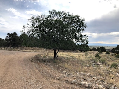 3386 Genial Way, Crestone, CO 81131 - photo 3