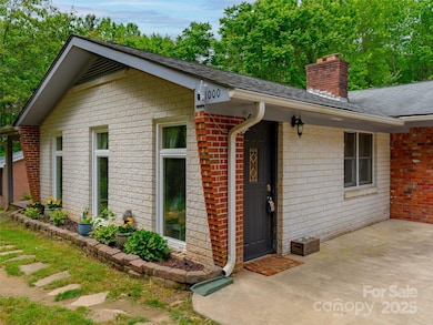 1000 Mountain View Church Rd, Zirconia, NC 28790 - photo 2