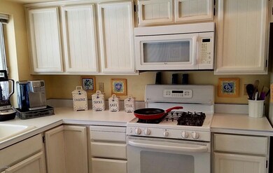 prelim pics kitchen