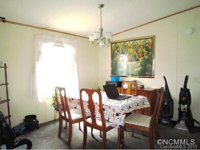 167 -173 Goughes Branch Rd, Leicester, NC 28748 - photo 3