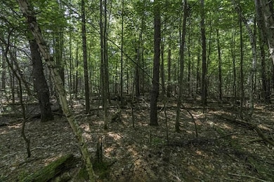 Lot 32 Pinecone Dr, Woodruff, WI 54568 - photo 4