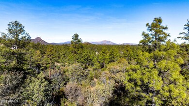 1101 White Spar Rd, Prescott, AZ 86303 - photo 4