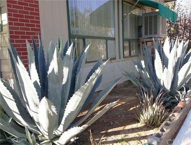 Gorgeous matured plants and bushes around the hous