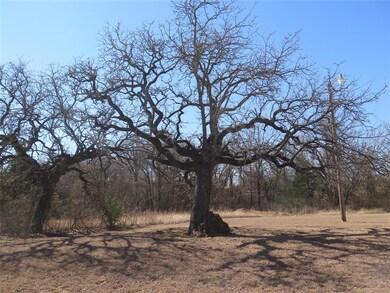 354 County Road 4690, Boyd, TX 76023 - photo 2