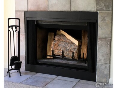 Wood-burning fireplace