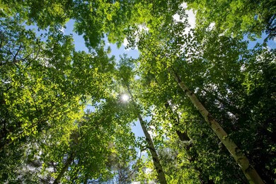 00 Hooke Rd, Ludlow, VT 05149 - photo 2