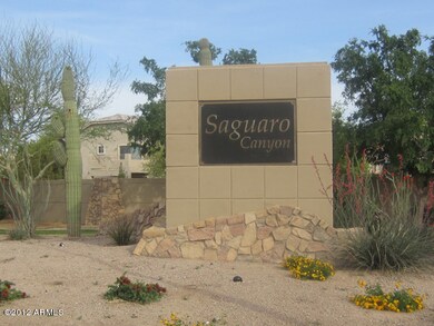 Saguaro Canyon