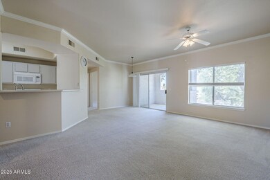 Living room to patio