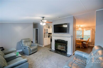 3863 New Leicester Hwy, Leicester, NC 28748 - photo 6
